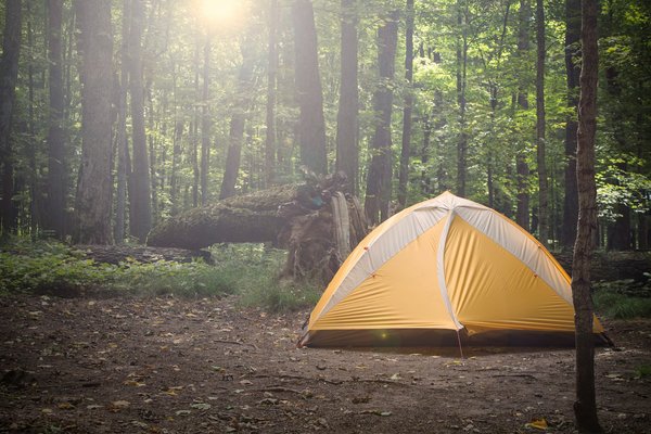 Quels sont les avantages du camping en forêt de pins et comment s'y préparer?